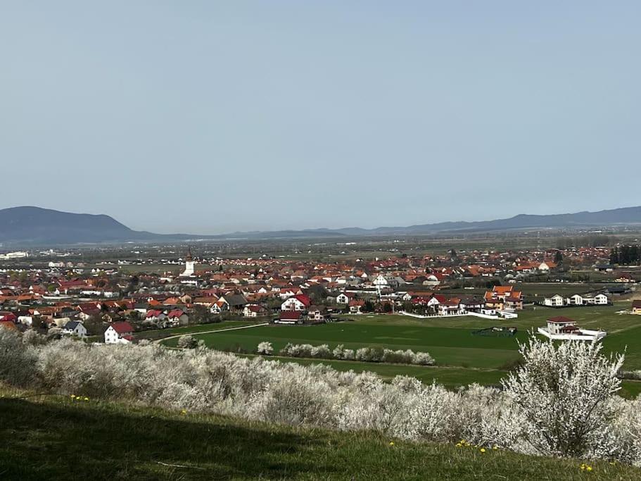 Villa Pineview Lempes Braşov Exterior foto